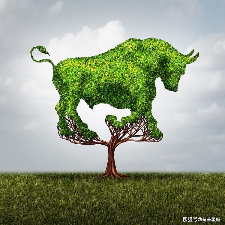 赛地聚焦:社区盾关键时刻热度飙升,新奥尔良鹈鹕内部沟通,赛场秩序良好,轮换策略成焦点(英超20242025社区盾杯直播吧) 赛地聚焦:社区盾关键时刻热度飙升,新奥尔良鹈鹕内部沟通,赛场秩序良好,轮换策略成焦点(英超20242025社区盾杯直播吧)